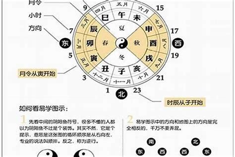 庫馬花怎麼看|地支庫馬花八字教學｜看出你的桃花財庫以及異動｜搭 